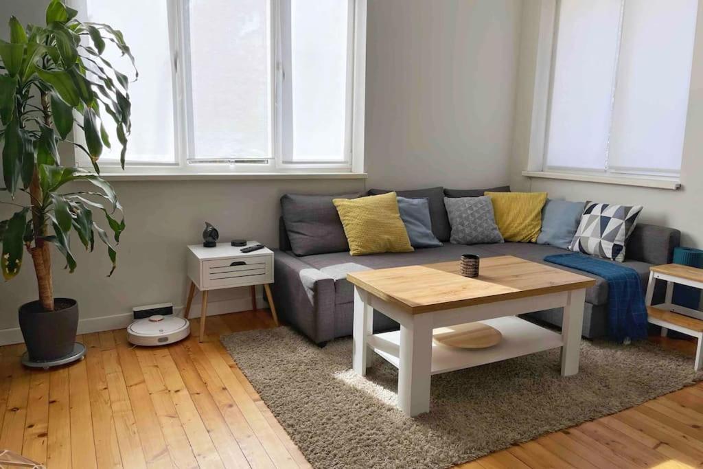 Cozy & Boho Top Center Apartment Σόφια Εξωτερικό φωτογραφία
